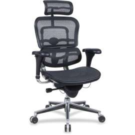 Eurotech Ergohuman ME7ERGW091 Mesh Multifunction Executive Chair