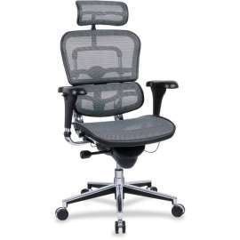 Eurotech ergohuman Mesh Multifunction High Back Executive Chair