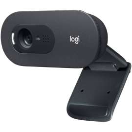 Logitech C505 Webcam
