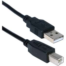 QVS USB Cable, Type A Male USB, Type B Male USB, 6ft, Black