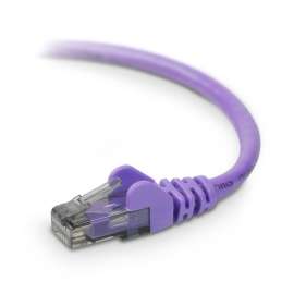 Belkin Cat. 6 High Performance UTP Patch Cable - RJ-45 Male - RJ-45 Male - 14ft - Purple