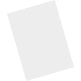 Zebra Technologies Zebra Screen Protector, For LCD Handheld Terminal, Tempered Glass