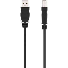 Belkin Hi-Speed USB 2.0 Cable, Type A Male USB, Type B Male USB, 6ft