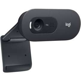 Logitech C505e Webcam, 30 fps, USB, 1280 x 720 Video, Fixed Focus