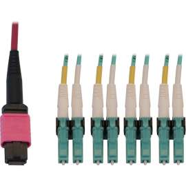 Tripp Lite 40/100G Multimode 50/125 OM4 Fiber Optic Cable (12F MTP/MPO-PC to 4x Duplex LC/PC F/M), LSZH, Magenta, 2 m (6.6 ft.), 6.56 ft Fiber Optic Network Cable for Network Device, Patch Panel, Switch, First End: 1 x MTP/MPO Network, Female, Second End: