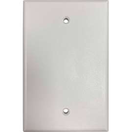 Tripp Lite Safe-IT Blank Wall Plate, Antibacterial, Ivory Matte, TAA, Ivory, High Impact Plastic, Acrylonitrile Butadiene Styrene (ABS), TAA Compliant