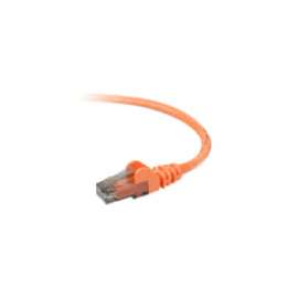 Belkin Cat.6 UTP Patch Cable
