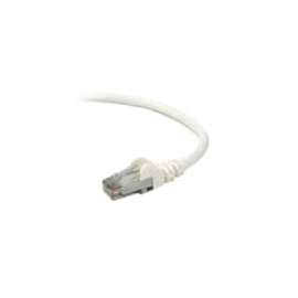 Belkin Cat.6 UTP Patch Cable