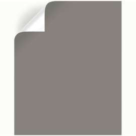 Magnolia Home by Joanna Gaines Garden Trowel Peel & Stick Color Sample
