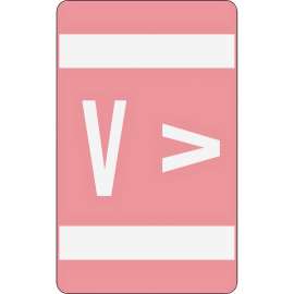 Alpha-Z Color-Coded Second Letter Alphabetical Labels, V, 1 x 1.63, Pink, 10/Sheet, 10 Sheets/Pack