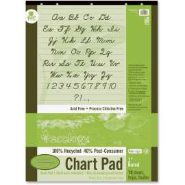 Pacon Ecololgy Unruled Recycled Chart Pad