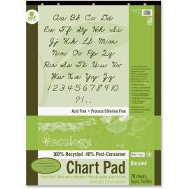 Pacon Ecololgy Unruled Recycled Chart Pad