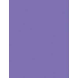 Kaleidoscope Multipurpose Colored Paper, 24lb, 8.5 x 11, Violet, 500/Ream