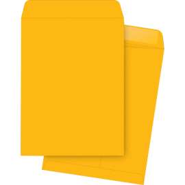 Bus. Source Kraft Gummed Catalog Envelopes