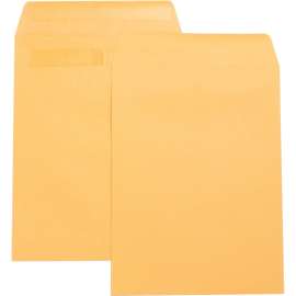Bus. Source Press-To-Seal Catalog Envelopes 