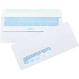 Bus. Source Self-seal Security Tint Envelopes