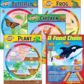 Trend Life Cycles Learning Charts Combo Pack, 1 Set