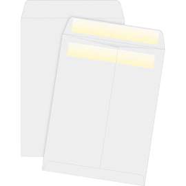 Bus. Source Press/Seal Catalog Envelopes
