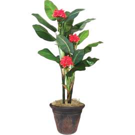 nudell 7ft. Flowering Banana Tree