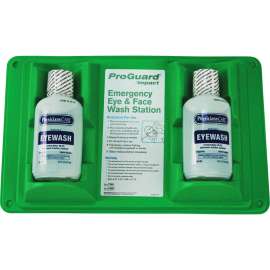 Impact Double Eyewash Station