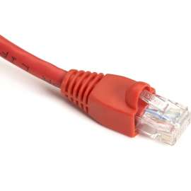 Black Box GigaTrue Cat.6 UTP Patch Network Cable