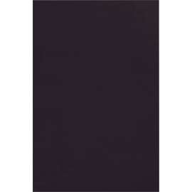 Pacon Spectra 12"x18" Deluxe Bleeding Art Tissue
