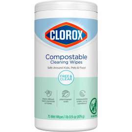 Clorox Cleaning Wipes - Free & Clear