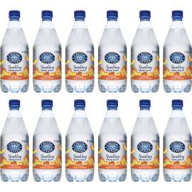 Crystal Geyser Natural Peach Sparkling Spring Water