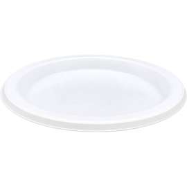 Genuine Joe Disposable Plastic Plates
