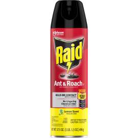 SC Johnson Raid Ant & Roach Killer Spray