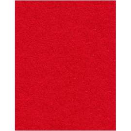 Genuine Joe Buffing Floor Pad
