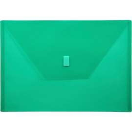 Lion Design-R-Line Poly Envelopes