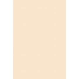 Pacon Heavyweight Tagboard Paper