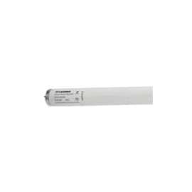 BULB FLUOR CWHITE 48IN T12 25W