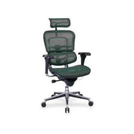 Eurotech Ergohuman ME7ERG Multifunction Executive Chair
