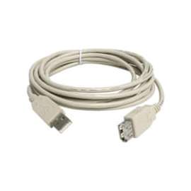 StarTech.com 10ft USB 2.0 Extension Cable A to A - M/F