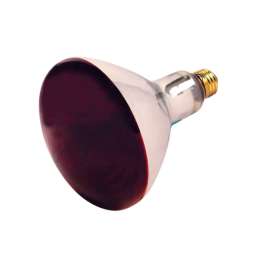 Satco 250 W R40 Heat Lamp Incandescent Bulb E26 (Medium) Red 1 pk