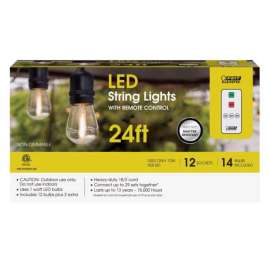 Feit Electric LED String Lights w/Remote Control Amber 24 ft. 12 lights
