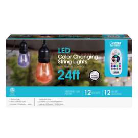 Feit Electric LED String Lights Multicolored 24 ft. 12 lights