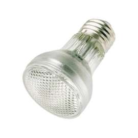 Westinghouse 60 W PAR16 Floodlight Halogen Bulb 660 lm White 1 pk