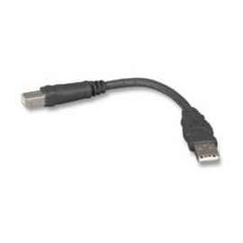 Belkin Pro Series USB 2.0 Device Cable - Type A Male - Type B Male - 6" - Black