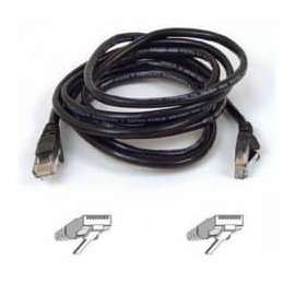 Belkin Cat6 Patch Cable, RJ-45 Male Network, RJ-45 Male Network, 20ft, Black