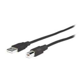 Comprehensive Cable Comprehensive USB 2.0 A Male To B Male Cable 25ft., 25 ft USB Data Transfer Cable for Printer, Scanner, Keyboard, PC, MAC, Computer, Camera, Mouse, First End: 1 x USB 2.0 Type A, Male, Second End: 1 x USB 2.0 Type B