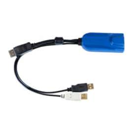 Raritan USB/DisplayPort KVM Cable - DisplayPort/USB KVM Cable for KVM Switch, Mouse - First End: 1 x DisplayPort Digital Audio/Video - Male, 2 x USB Type A - Male - Black