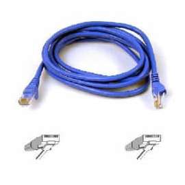 Belkin Cat. 6 UTP Patch Cable - RJ-45 Male - RJ-45 Male - 30ft - Blue