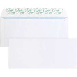 Bus. Source Regular Tint Peel/Seal Envelopes