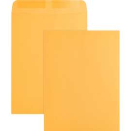 Bus. Source Kraft Gummed Catalog Envelopes