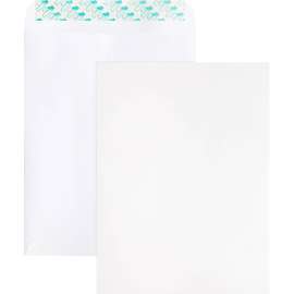 Bus. Source Self Sealing Catalog Envelope