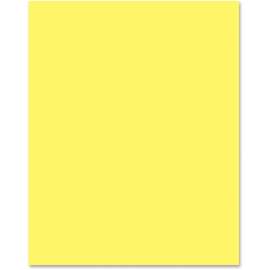 Pacon Premium Neon Poster Board