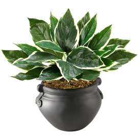 nudell NuDell Artificial Hosta Plant